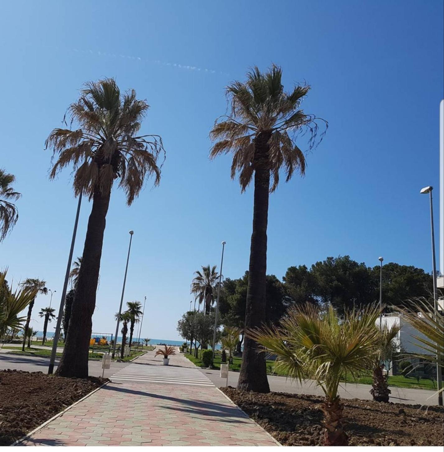 Amaris Apartments Durrës Værelse billede